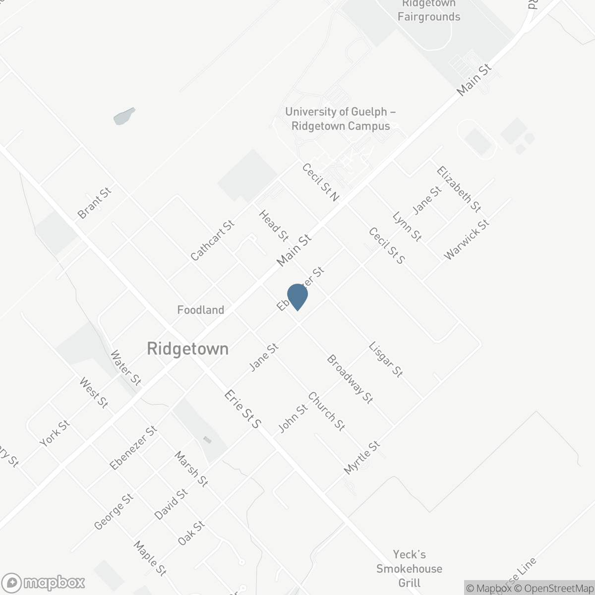 45 EBENEZER STREET East, Chatham-Kent, Ontario N0P 2C0